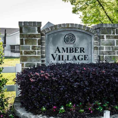 Amber Village