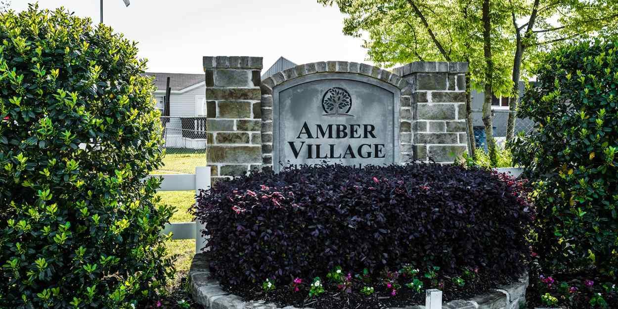 Amber Village