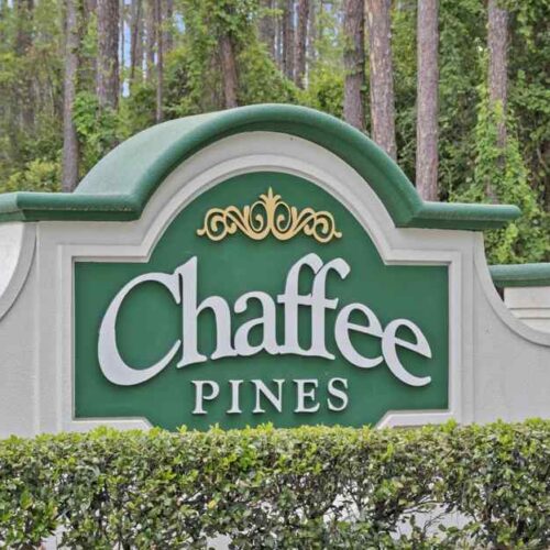 Chaffee Pines