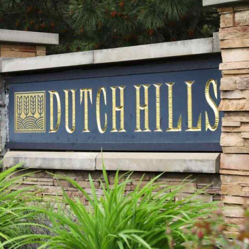 Dutch HIlls