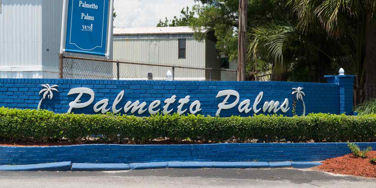 Palmetto Palms