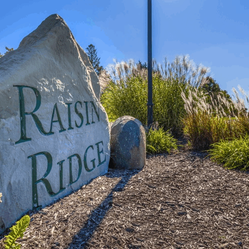 Raisin Ridge